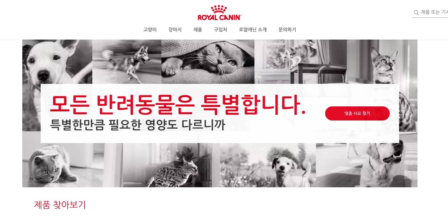 퍼널 마케팅 예시인 Royal Canin 홈페이지 이미지
